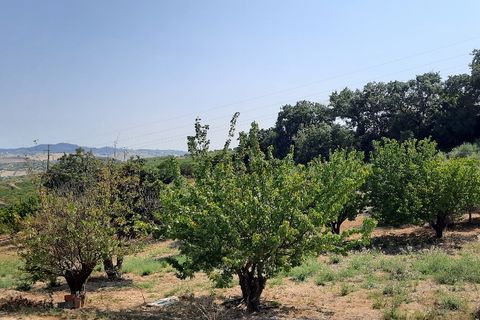 Farm hus i Alenquer, Lisbon, Alenquer - € 499.000 | Ref: LOURLS720 - foto 7
